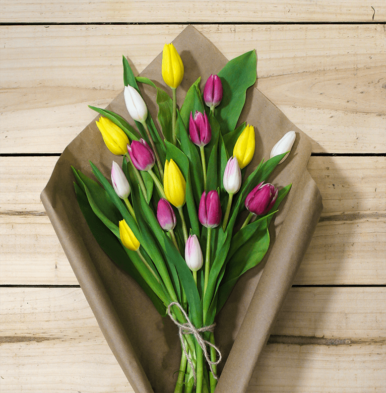 Colorful Mother's Day Tulips